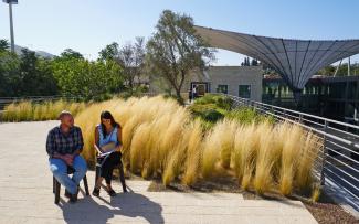 Two persons sitting on a green roof with ornamental grasses and small trees